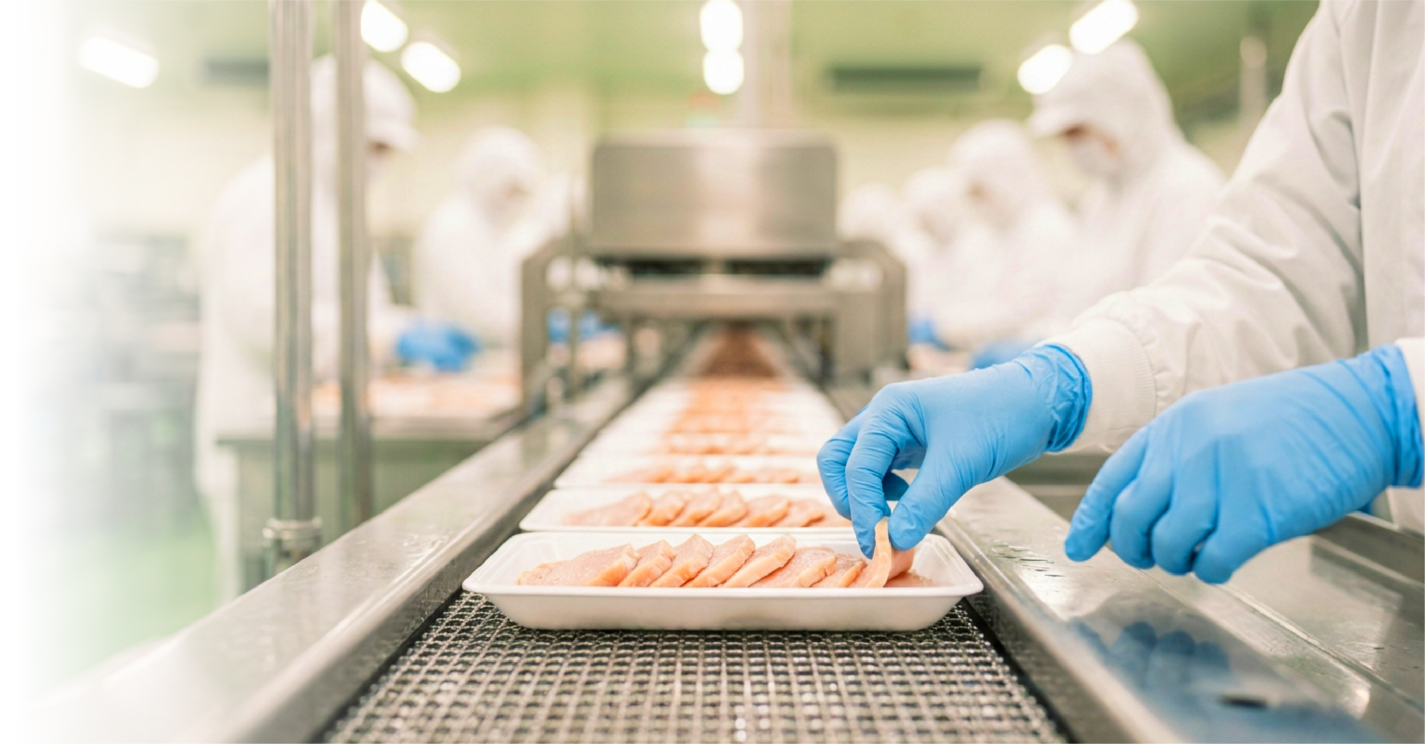食品を製造する工場のライン