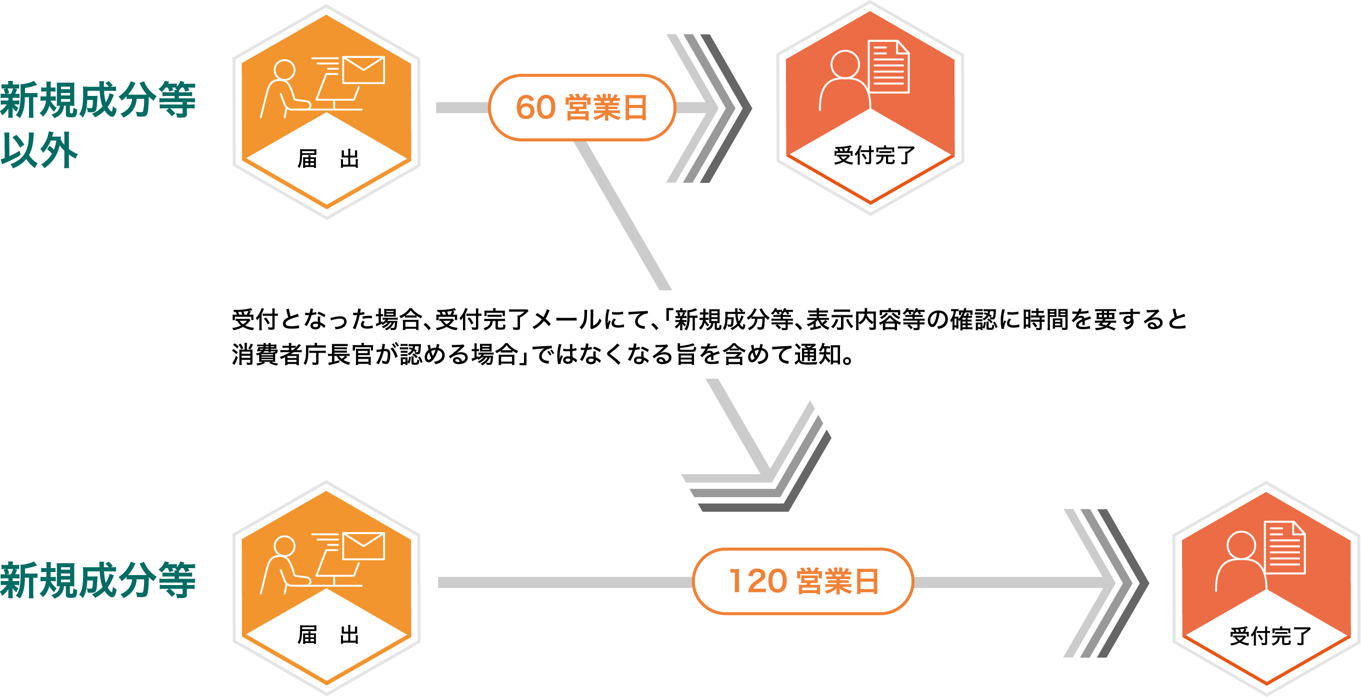機能性表示食品：受理から届出までのプロセス