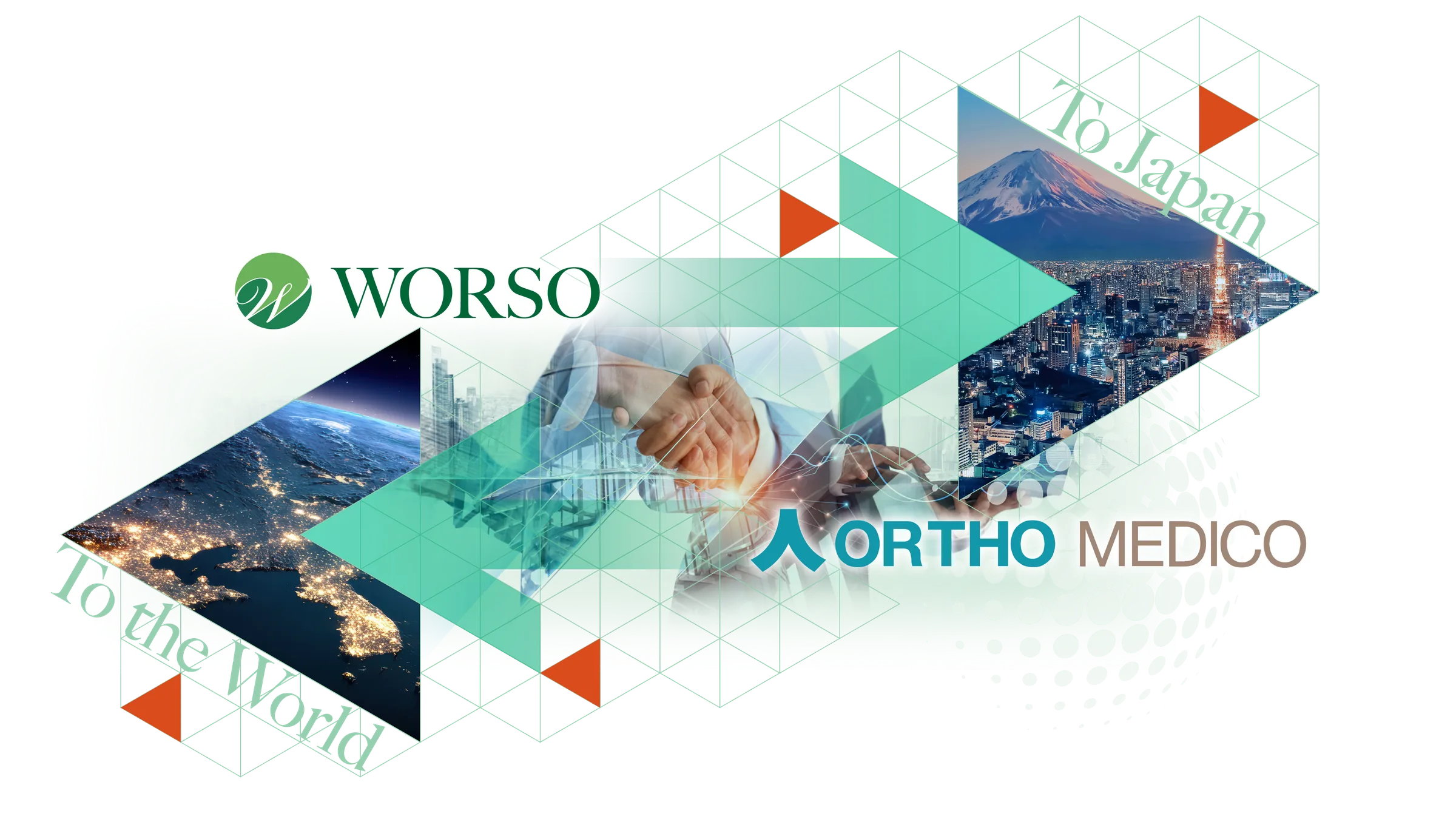 WORSOが海外企業との窓口・日本市場展開を支援し、 科学的根拠の検討や届出資料作成はオルトメディコと連携して進めます。