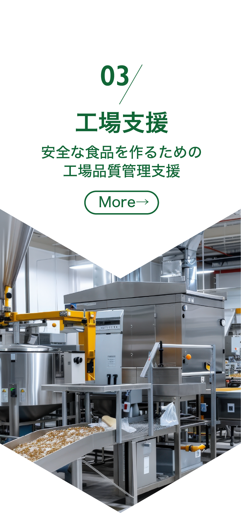 03 工場支援：安全な食品を作るための工場品質管理支援