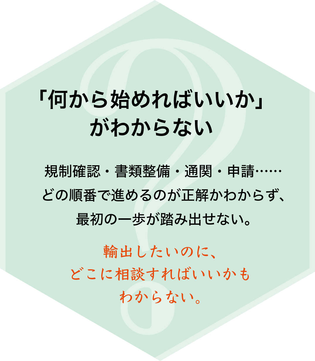 「何から始めればいいか」がわからない。規制確認・書類整備・通関・申請の順番がわからず、最初の一歩が踏み出せない。